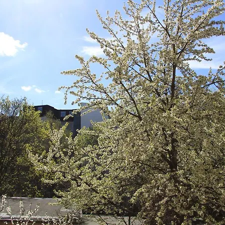 Nollendorf Apartman Berlin